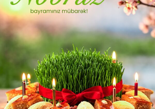 WhatsApp Image 2026-03-19 at 11.06.52